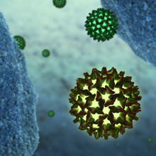 MT Feb 2013 hepatitis