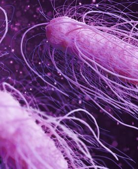 3D illustration of bacterium floating in a purple environment.