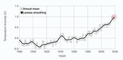 NASA’s Goddard Institute for Space Studies Temperature data the past few decades. Greyline, annual mean; black line, lowess smoothing.