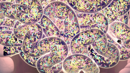 Scientific illustration showing the gut microbiome in the intestine