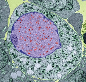 MT Feb 2013 Turner Taylor M0500979