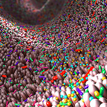 Gut microbiome and mucosa representation