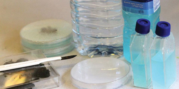 MT Aug 2013 Park Fig 5