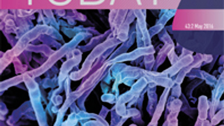 Cover of Microbiology Today, issue of May 2016