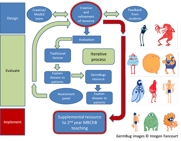 Flowchart demonstrating the GermBugs development process