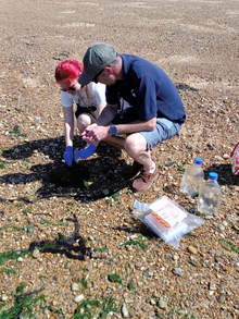 Alyssa Winder investigating at the beach 